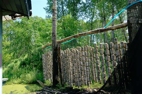 饿木命人要怎么补五行_饿木命人的衣食住行,第3张 饿木命人要怎么补五行_饿木命人的衣食住行,第3张